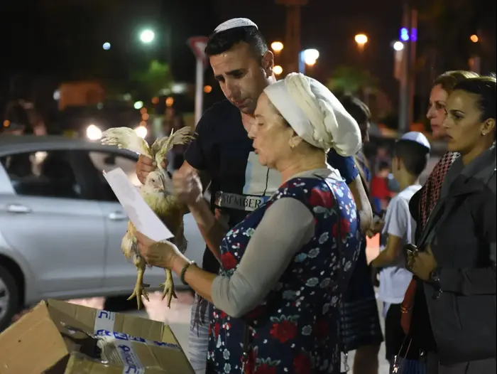 כפרות בכפר חב"ד (ראובן קסטרו) כפרות בכפר חב"ד (ראובן קסטרו)