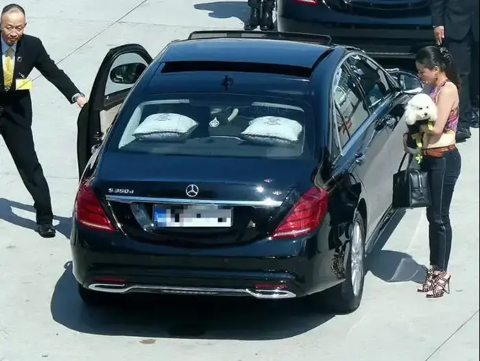 נסיך תאילנד ויורש העצר מאהה וצ'יראלונגקון בנמל תעופה במינכן, יולי 2016 (צילום מסך , "הבילד") נסיך תאילנד ויורש העצר מאהה וצ'יראלונגקון בנמל תעופה במינכן, יולי 2016 (צילום מסך , "הבילד")
