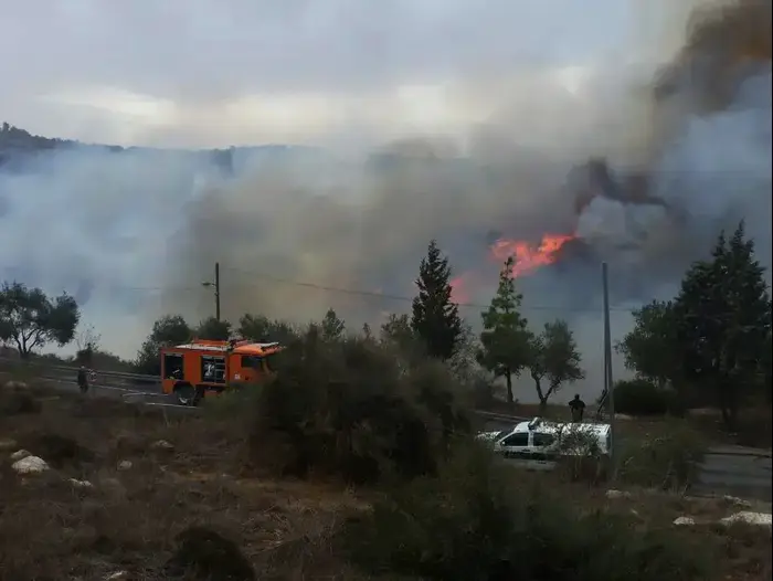 שריפה סמוך למסעדה המטבח של רמה, נטף, 23 בנובמבר 2016 (צילום מסך , פייסבוק) שריפה סמוך למסעדה המטבח של רמה, נטף, 23 בנובמבר 2016 (צילום מסך , פייסבוק)