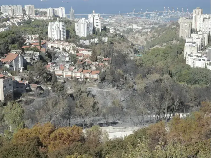 חיפה לאחר השריפות, נובמבר 2016 (יותם רונן) חיפה לאחר השריפות, נובמבר 2016 (יותם רונן)