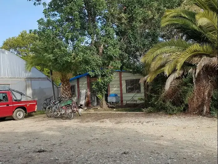 פינת חי, אשר מנהלה מואשם באונס ומעשים מגונים בקטינות, קיבוץ חצור. דצמבר 2016 (שי מכלוף) פינת חי, אשר מנהלה מואשם באונס ומעשים מגונים בקטינות, קיבוץ חצור. דצמבר 2016 (שי מכלוף)