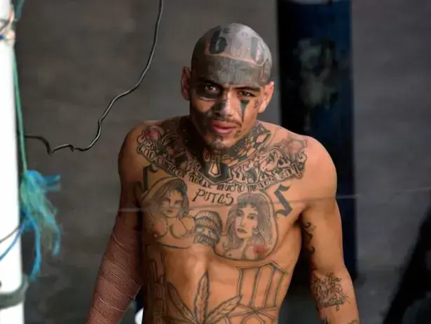 חבר כנופיית MS-13 (רויטרס)