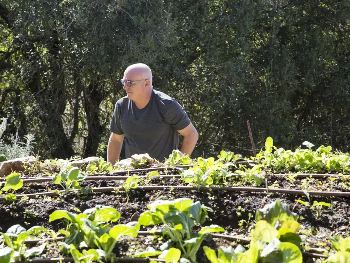 הגינה של ארז קומרובסקי (יח"צ , אלי בוחבוט) הגינה של ארז קומרובסקי (יח"צ , אלי בוחבוט)