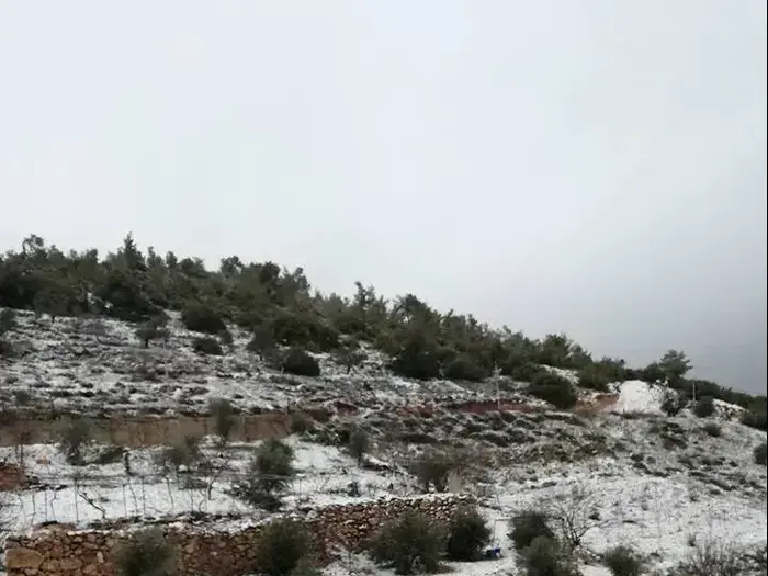 שלג בעג'לון שבצפון ירדן, 28 בינואר 2017 (צילום מסך , טוויטר) שלג בעג'לון שבצפון ירדן, 28 בינואר 2017 (צילום מסך , טוויטר)