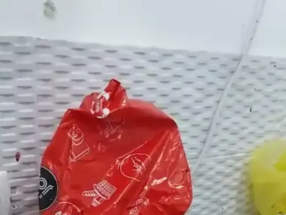 עמדת השוטרים שער האריות בירושלים הבוקר לאחר פיגוע הדקירה בו נפצעו באורח בינוני שני שוטרים, 13 במרץ 2017 (צילום מסך) עמדת השוטרים שער האריות בירושלים הבוקר לאחר פיגוע הדקירה בו נפצעו באורח בינוני שני שוטרים, 13 במרץ 2017 (צילום מסך)