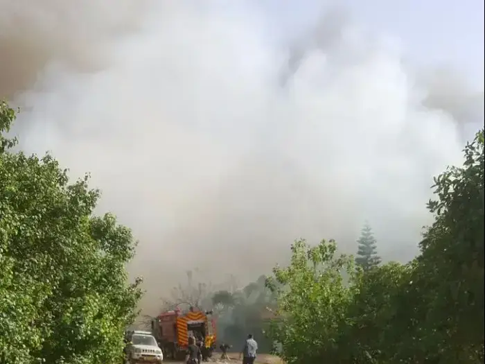 שריפה בשדה ורבורג שבדרום השרון, אפריל 2017 (מערכת וואלה! NEWS) שריפה בשדה ורבורג שבדרום השרון, אפריל 2017 (מערכת וואלה! NEWS)