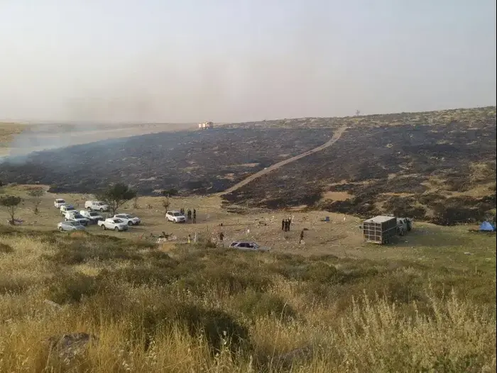 שריפה פרצה ביער דבירה שבנגב, אפריל 2017 (חטיבת דובר המשטרה) שריפה פרצה ביער דבירה שבנגב, אפריל 2017 (חטיבת דובר המשטרה)