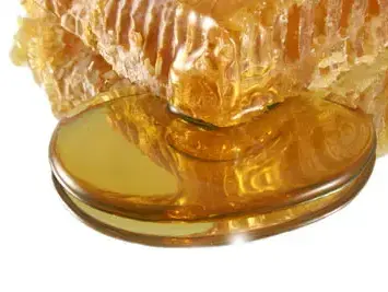 חלת דבש (ShutterStock) חלת דבש (ShutterStock)