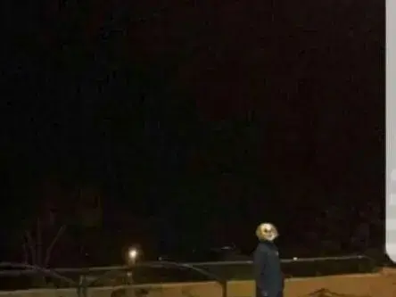 ליצן בדימונה במסגרת חבורת הליצנים שהובילה לבהלה בעיר (מערכת וואלה! NEWS , פייסבוק) ליצן בדימונה במסגרת חבורת הליצנים שהובילה לבהלה בעיר (מערכת וואלה! NEWS , פייסבוק)