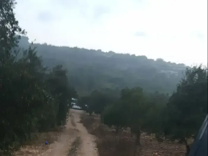 זירת הרצח ליד כפר סמיע, 16 באוקטובר 2017 (מערכת וואלה! NEWS) זירת הרצח ליד כפר סמיע, 16 באוקטובר 2017 (מערכת וואלה! NEWS)