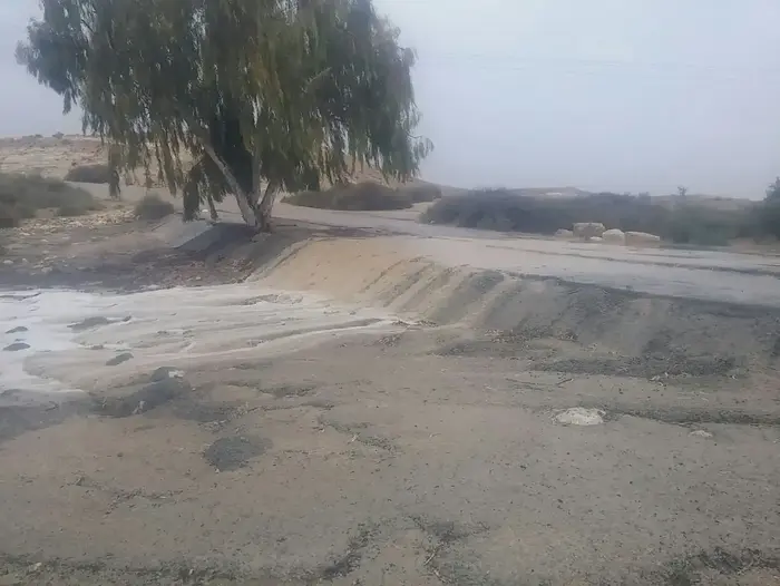 הצפה בגשר אריה, ליד פארק גולדה בדרום, 25 באפריל 2018 (מערכת וואלה! NEWS , אברומי דויטש) הצפה בגשר אריה, ליד פארק גולדה בדרום, 25 באפריל 2018 (מערכת וואלה! NEWS , אברומי דויטש)