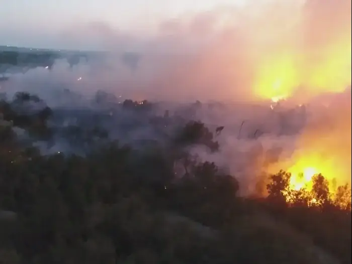 שריפה בשמורת עינות צוקים (רשות הטבע והגנים , ארז ברוכי רשות הטבע והגנים) שריפה בשמורת עינות צוקים (רשות הטבע והגנים , ארז ברוכי רשות הטבע והגנים)