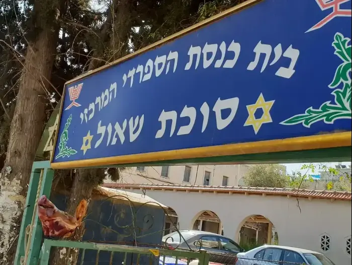 ראש חזיר בבית כנסת ברמת השרון (מערכת וואלה! NEWS)