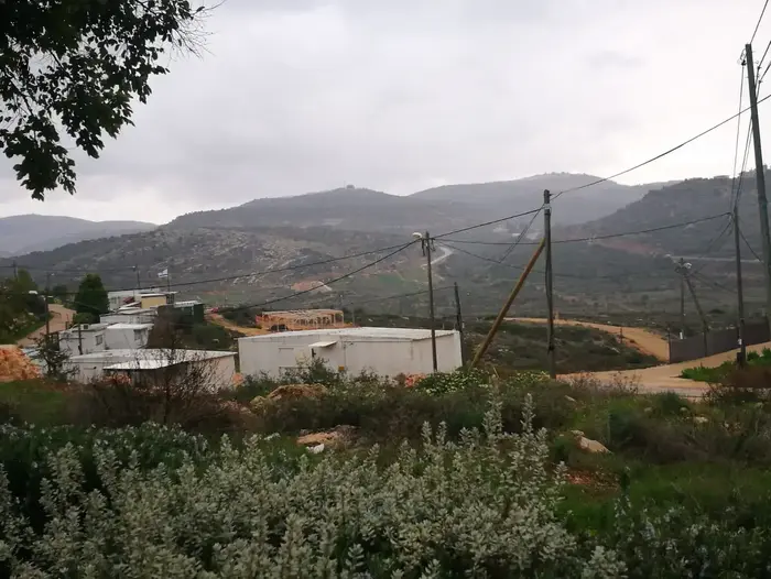 רחלים, 30 בדצמבר 2018 (רוני כנפו) רחלים, 30 בדצמבר 2018 (רוני כנפו)