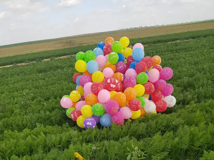טיפול בצרור בלונים שאותרו במועצה האזורית נגב 6 בינואר 2018 (אתר רשמי , דוברות המשטרה-) טיפול בצרור בלונים שאותרו במועצה האזורית נגב 6 בינואר 2018 (אתר רשמי , דוברות המשטרה-)