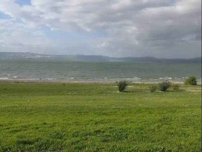 חוץ צאלון בכנרת, 17 בינואר 2019 (אתר רשמי , אביעד בן חור, רשות הכינרת) חוץ צאלון בכנרת, 17 בינואר 2019 (אתר רשמי , אביעד בן חור, רשות הכינרת)