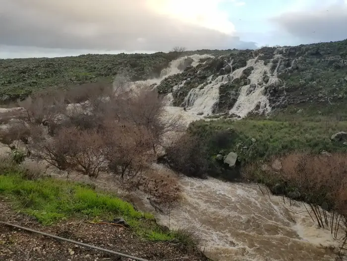 זרימות בגולן 18 לינואר 2019 (אתר רשמי , מועצה האזורית גולן) זרימות בגולן 18 לינואר 2019 (אתר רשמי , מועצה האזורית גולן)