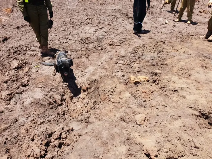 יחידת עוקץ בניסיונות החילוץ בברזיל 31 בינואר 2019 (אתר רשמי , דובר צה"ל) יחידת עוקץ בניסיונות החילוץ בברזיל 31 בינואר 2019 (אתר רשמי , דובר צה"ל)