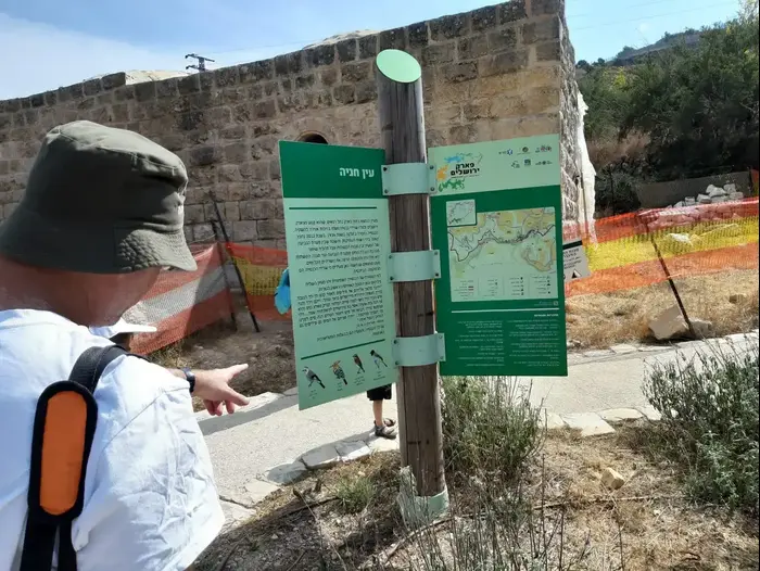 מטיילים במעין עין חניה, 15 באוקטובר 2019 (רוני כנפו) מטיילים במעין עין חניה, 15 באוקטובר 2019 (רוני כנפו)