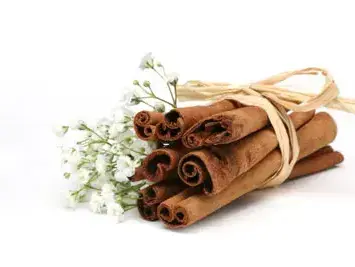 מקלון קינמון (ShutterStock) מקלון קינמון (ShutterStock)