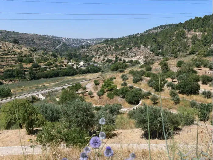 רכס לבן ועין לבן, 16 ביוני 2020 (ראובן קסטרו) רכס לבן ועין לבן, 16 ביוני 2020 (ראובן קסטרו)