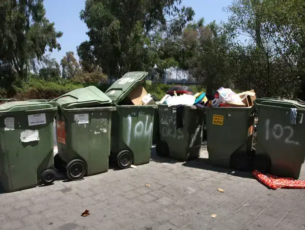 אילוסטרציה (ניר לנדאו, מערכת וואלה!) אילוסטרציה (ניר לנדאו, מערכת וואלה!)