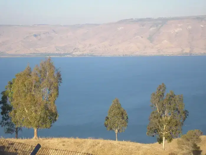 כינרת (החברה להגנת הטבע) כינרת (החברה להגנת הטבע)