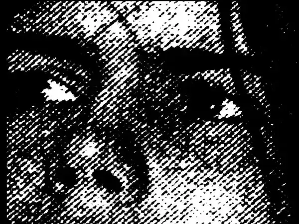 עטיפת "Summer of Hate" של קרוקודיילס (יח"צ)