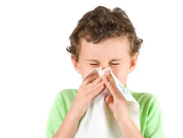 אילוסטרציה (ShutterStock) אילוסטרציה (ShutterStock)