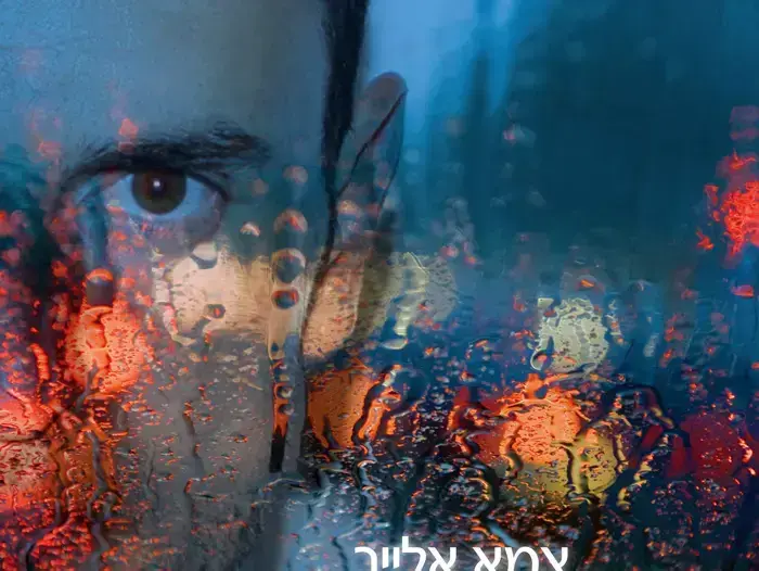 עטיפת הסינגל "מצא אלייך" של גיא זוארץ (יח"צ) עטיפת הסינגל "מצא אלייך" של גיא זוארץ (יח"צ)