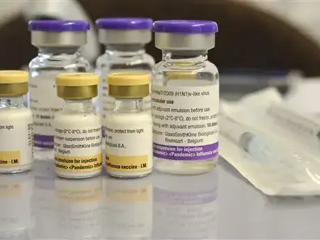 שפעת החזירים (AP) שפעת החזירים (AP)