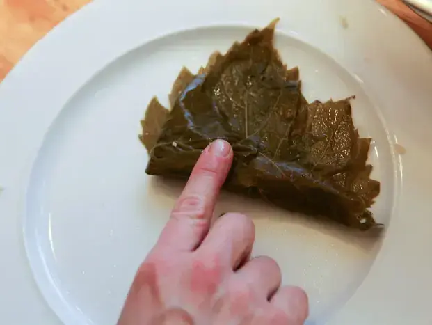 דנה מלמד מארחת את אסתריקה באיו לעלי גפן (מערכת וואלה! NEWS , שי נייבורג) דנה מלמד מארחת את אסתריקה באיו לעלי גפן (מערכת וואלה! NEWS , שי נייבורג)