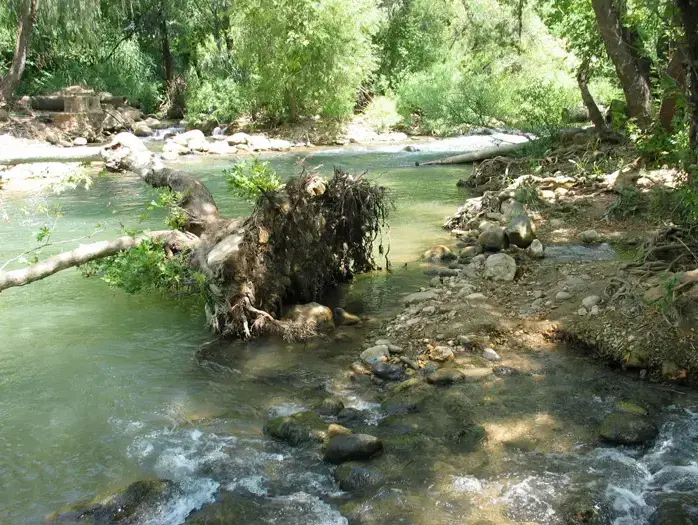 נחל שניר, חצבאני, טיפ טיול (רשות הטבע והגנים) נחל שניר, חצבאני, טיפ טיול (רשות הטבע והגנים)
