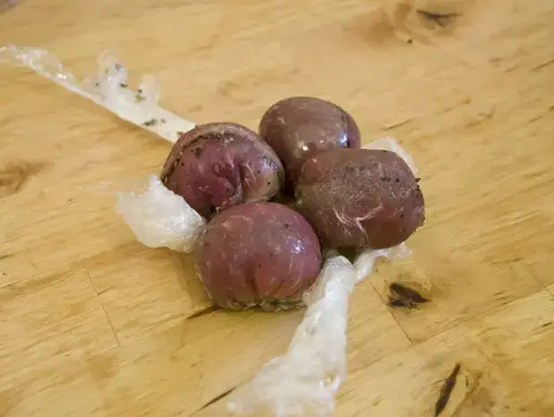 עוגות סינטה במילוי שיטאקי (נמרוד סונדרס) עוגות סינטה במילוי שיטאקי (נמרוד סונדרס)