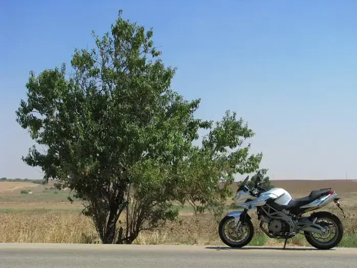 מבחן דו גלגלי אפריליה שיבר 750 (קובי אליהו) מבחן דו גלגלי אפריליה שיבר 750 (קובי אליהו)