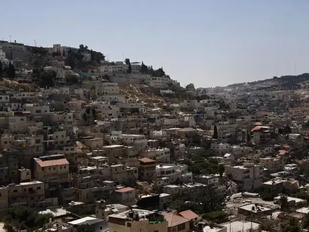בוסתן "גן המלך" בשכונת סילוואן, אוקטובר 2010 (מגד גוזני) בוסתן "גן המלך" בשכונת סילוואן, אוקטובר 2010 (מגד גוזני)