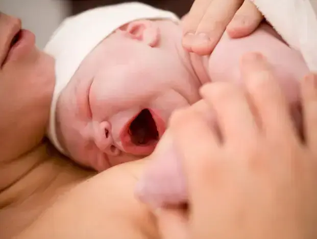 אילוסטרציה (ShutterStock) אילוסטרציה (ShutterStock)