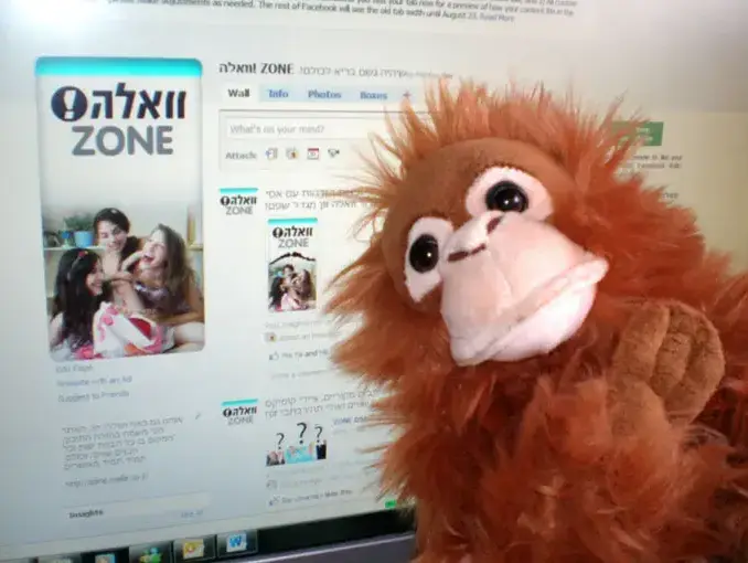 הקוף של זון (מערכת וואלה! NEWS , רחלי רוטנר) הקוף של זון (מערכת וואלה! NEWS , רחלי רוטנר)