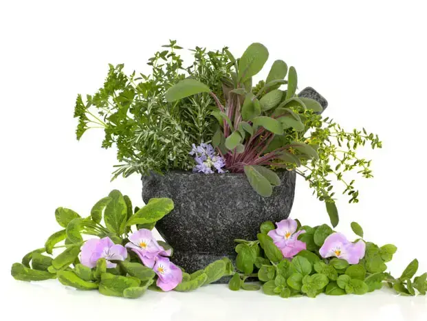 אילוסטרציה (ShutterStock) אילוסטרציה (ShutterStock)