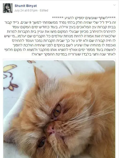 הפוסט שפרסמה שונית ביניאט בפייסבוק על סגירת בית הקברות בו קבור החתול שלה, 24 ביולי 2015 (צילום מסך) הפוסט שפרסמה שונית ביניאט בפייסבוק על סגירת בית הקברות בו קבור החתול שלה, 24 ביולי 2015 (צילום מסך)