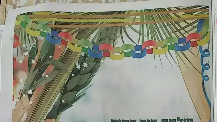 שלמה בונה סוכה (צילום מסך) שלמה בונה סוכה (צילום מסך)