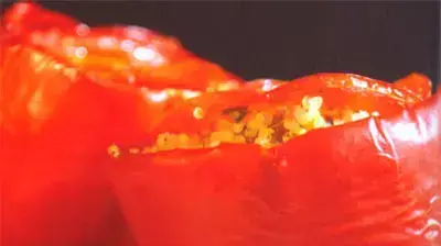 פלפלים ממולאים קינואה (צילום: דניאל לילה) פלפלים ממולאים קינואה (צילום: דניאל לילה) (על השולחן)