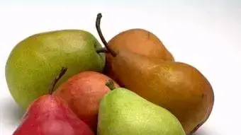 אגסים אגסים (Artoday)