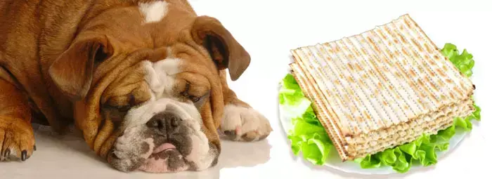 אילוסטרציה (ShutterStock) אילוסטרציה (ShutterStock)