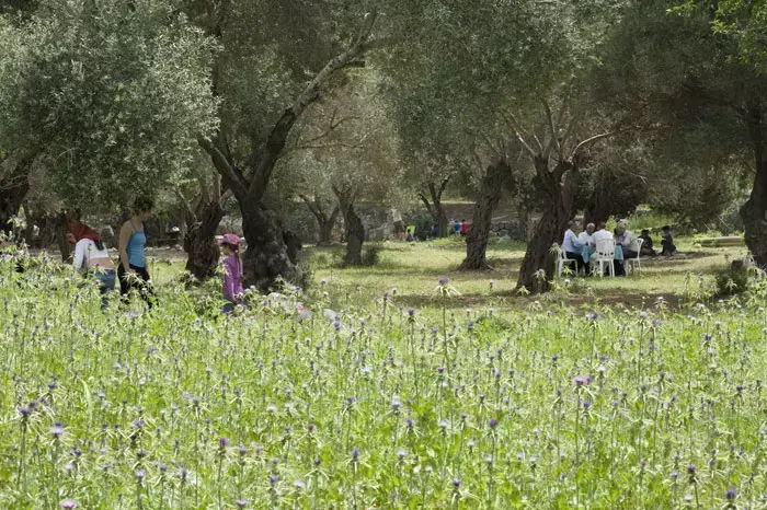 נופשים ומטיילים בפארקים, פסח 2011 (נמרוד סונדרס) נופשים ומטיילים בפארקים, פסח 2011 (נמרוד סונדרס)
