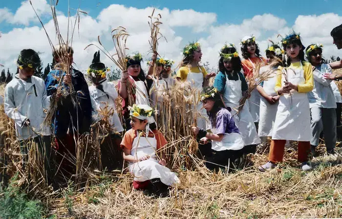 שבועות במוזיאון "חצר ראשונים", קיבוץ עין שמר (יח"צ , אוסף "החצר הישנה", עין שמר)