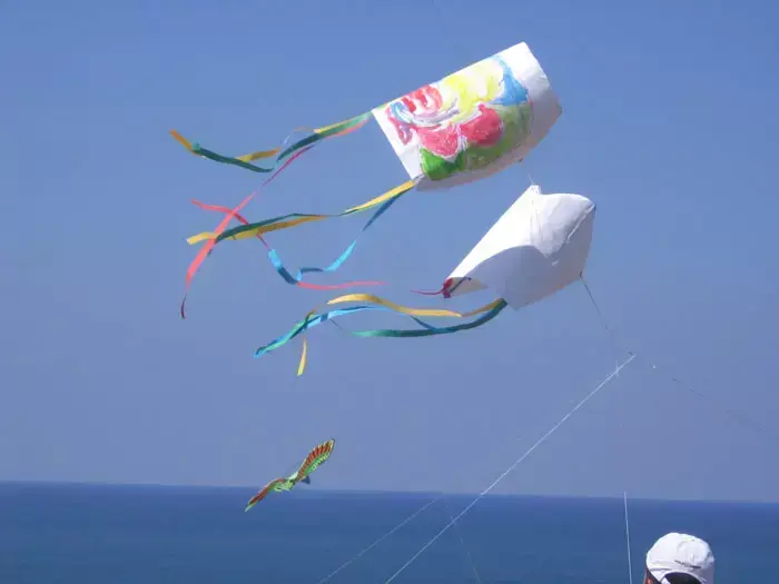 עפיפולוניה בגן לאומי אפולוניה (יח"צ , לימור קטן) עפיפולוניה בגן לאומי אפולוניה (יח"צ , לימור קטן)