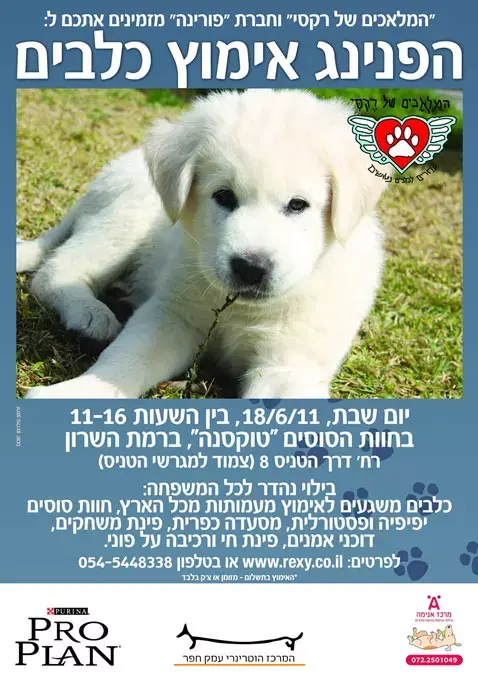 כרזת אירוע יום אימוץ בשיתוף מספר עמותות, 18 יוני 2011 בשיתוף חברת פורינה ועמותת 'המלאכים של רקסי' (יח"צ) כרזת אירוע יום אימוץ בשיתוף מספר עמותות, 18 יוני 2011 בשיתוף חברת פורינה ועמותת 'המלאכים של רקסי' (יח"צ)