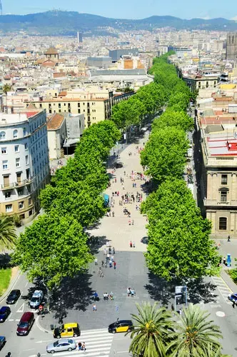 La Rambla, לה ראמבלה, ברצלונה (ShutterStock , nito) La Rambla, לה ראמבלה, ברצלונה (ShutterStock , nito)