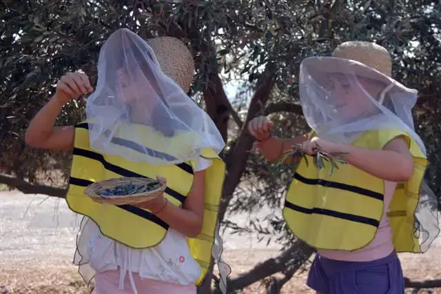 דבורת התבור (יח"צ)